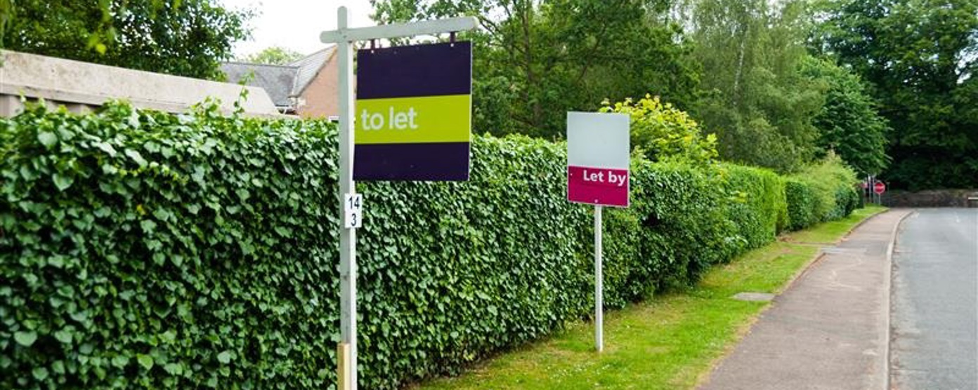 To let signs on a grassy verge beside a hedge