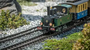 A green and black model train on a gravel track, with green foliage and rocks in the background