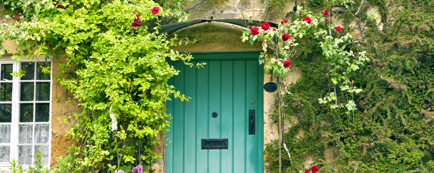 A cottage entrance with a bright green door surrounded by climbing roses and lush garden plants.