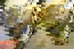 Happy woman Driving on Country Road into the Sunset