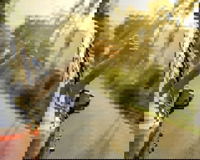 Happy woman Driving on Country Road into the Sunset