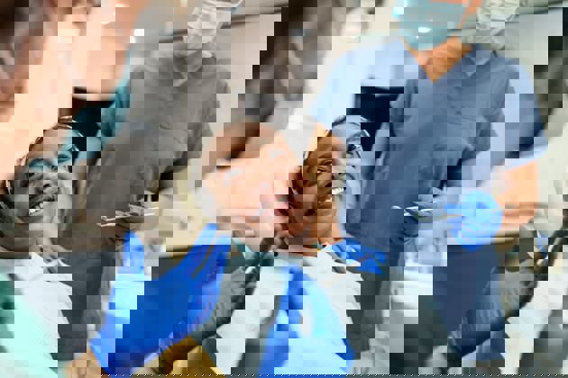 Woman at dentist office