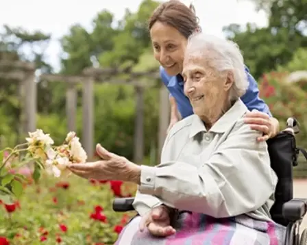 Carer supporting an elderly woman in a wheelchair as they enjoy roses together in a garden