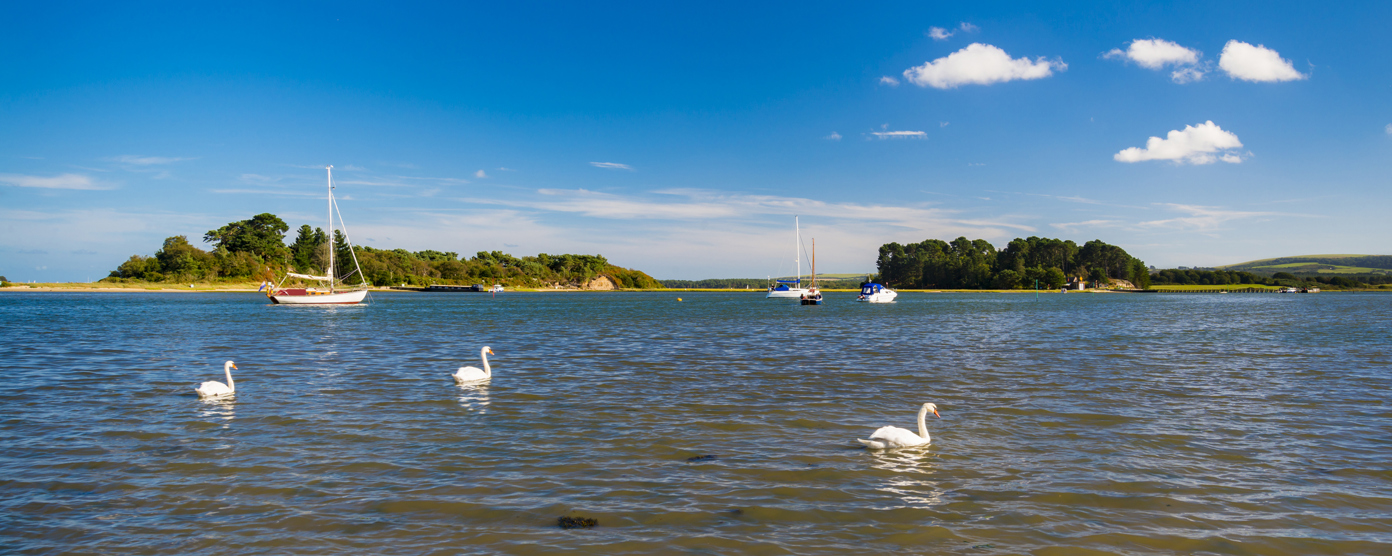 Swans glide on calm water near Arne, Dorset, with sailboats and tree-lined islands under a bright blue sky