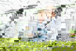 Two botanists, a woman and a younger man, wearing lab coats and safety glasses, study locally grown plants in a test lab