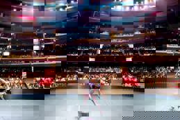 Ballet dancers performing on stage for a large public at a theater