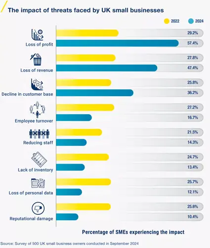 A horizontal bar chart compares the percentage of smes experiencing various impacts in 2022 (yellow bars) versus 2024 (blue bars).