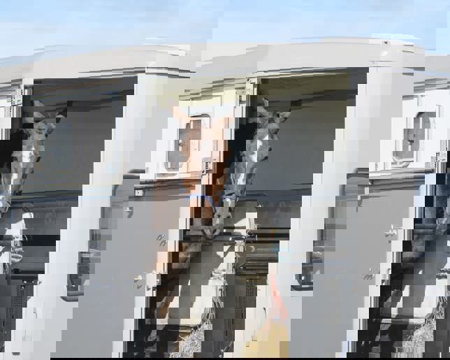 Transport trailer with horse