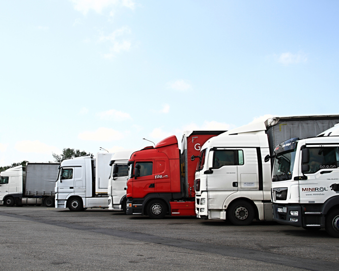 Row of semi‑trucks parked at a truck stop, with one red cab among white trucks under a clear sky