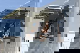 Horses in transport trailer