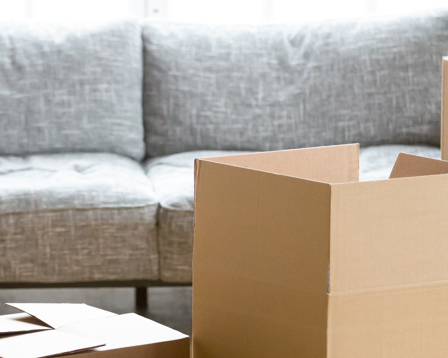  Open cardboard moving boxes in a bright living room with a grey sofa, ready for packing and relocation