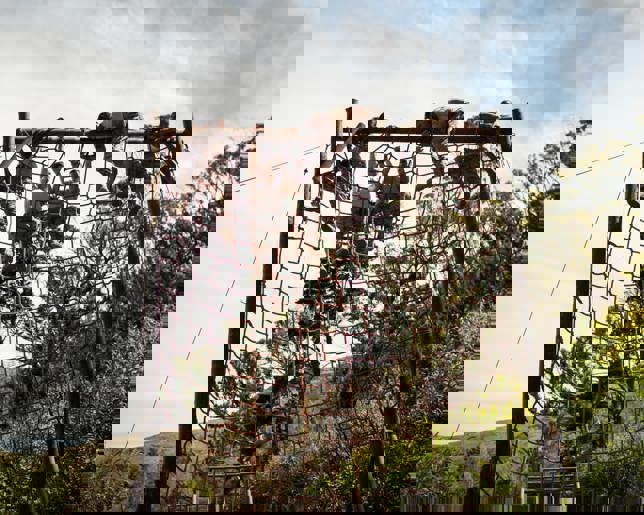 Military soldiers climbing rope 