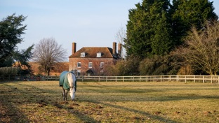 A country house with a pony in the foreground