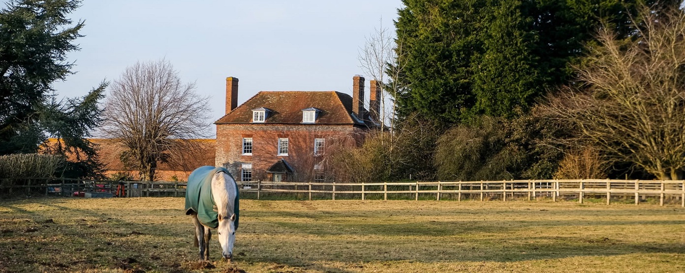 A country house with a pony in the foreground